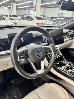 BYD Qin PLUS DM-i 2023 Champion Edition 120KM Excellence Model