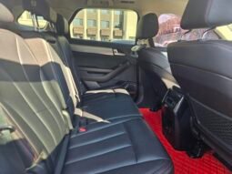 BYD Tang DM 2018 2.0T Full-Time 4WD Intelligent Connectivity Chuangyue Edition 7-Seater National V