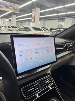 BYD Qin PLUS DM-i 2023 Champion Edition 120KM Excellence Model