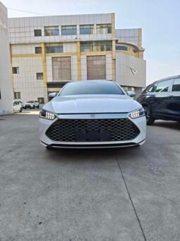 BYD Qin PLUS DM-i 2021 55KM Flagship