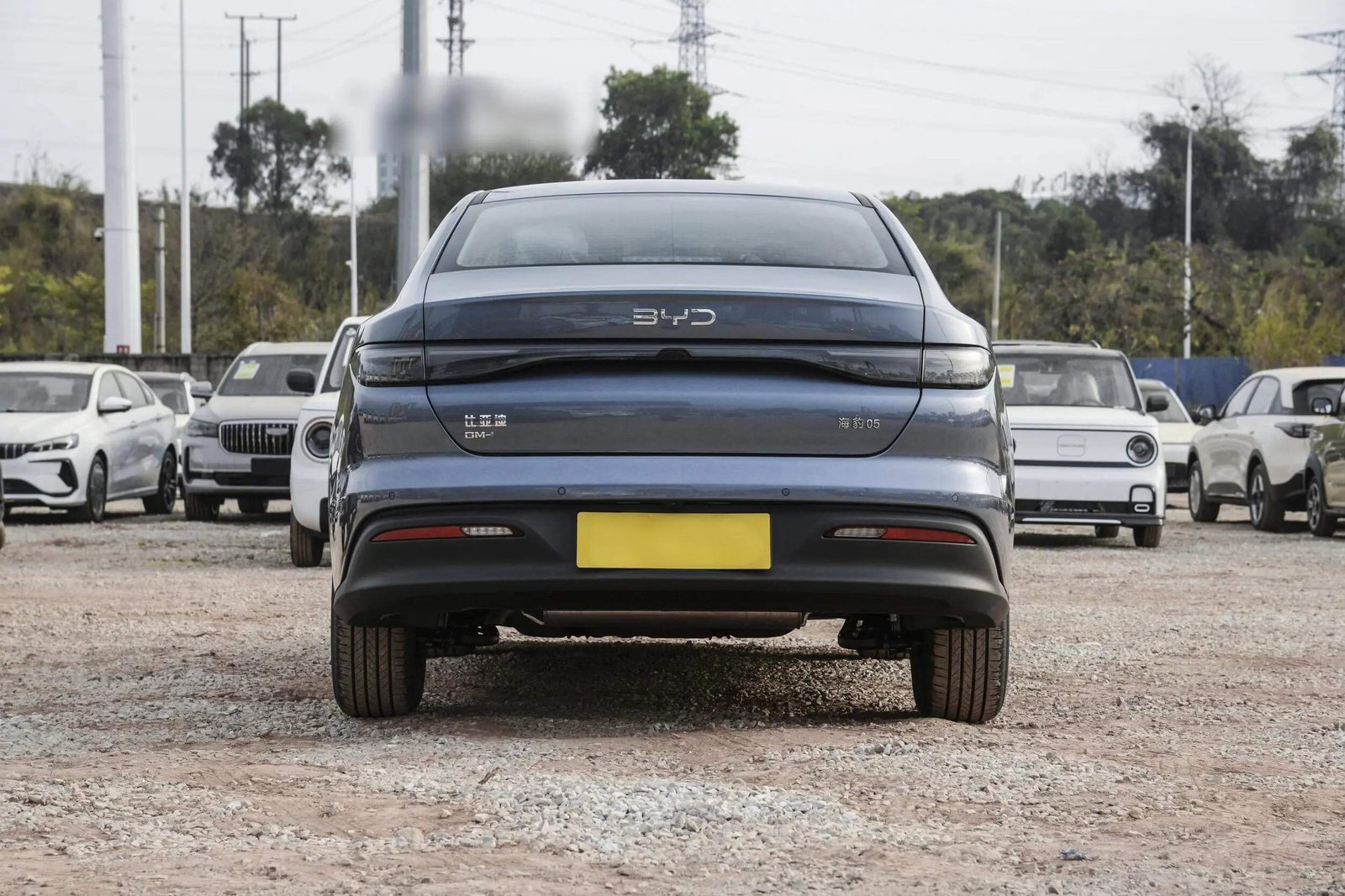 BYD Seal 05 DM-i 2025 Intelligent Driving Edition 55KM Luxury Model