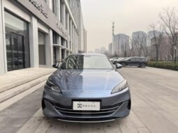 BYD Seal 06 DM-i 2024 120KM Premium Honor Model