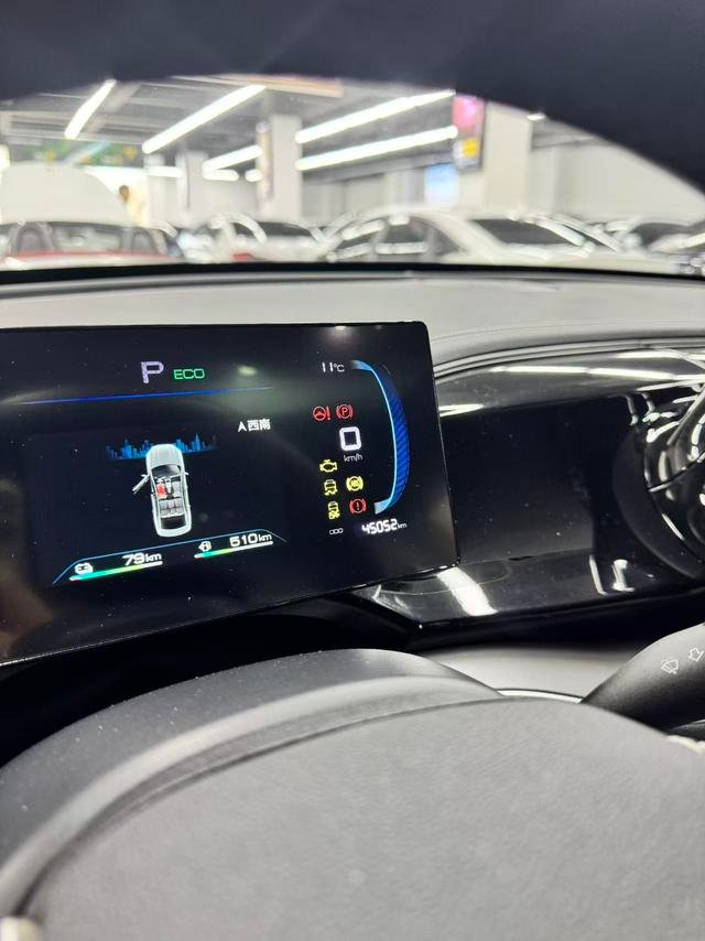 BYD Qin PLUS DM-i 2023 Champion Edition 120KM Excellence Model