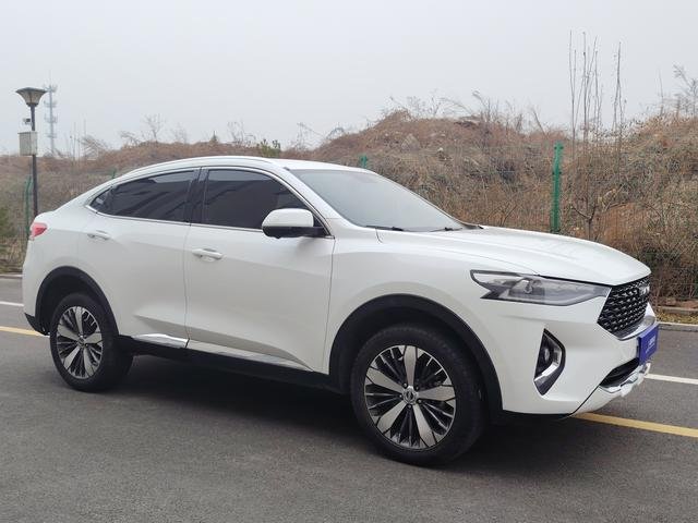2019 HAVAL F7x 1.5T 2WD PLAY
