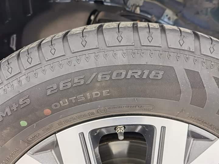 PAO 2019 2.0T automatic gasoline 2WD comfort version GW4C20B